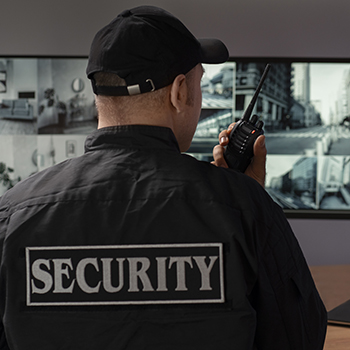 Serviços de Vigia e de Vigilância Desarmada Serviços de Vigia e de Vigilância Desarmada